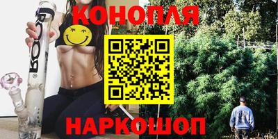 гашик Тара
