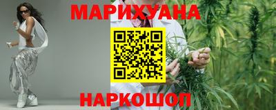 гашик Тара