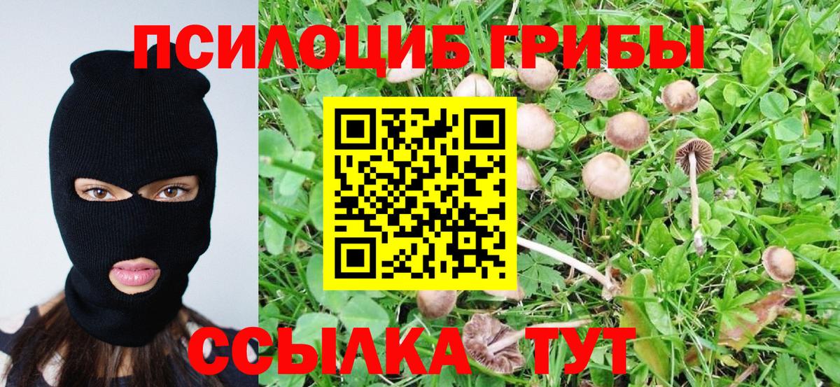 Псилоцибиновые грибы Psilocybe  Псилоцибиновые грибы прущие грибы  даркнет сайт  Усинск  Вход с VPN 